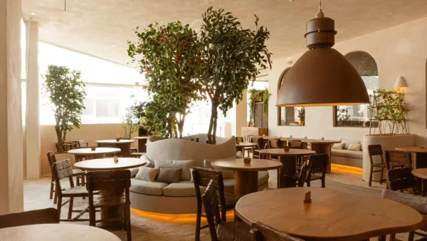 Interior of Begin Botanical restaurant