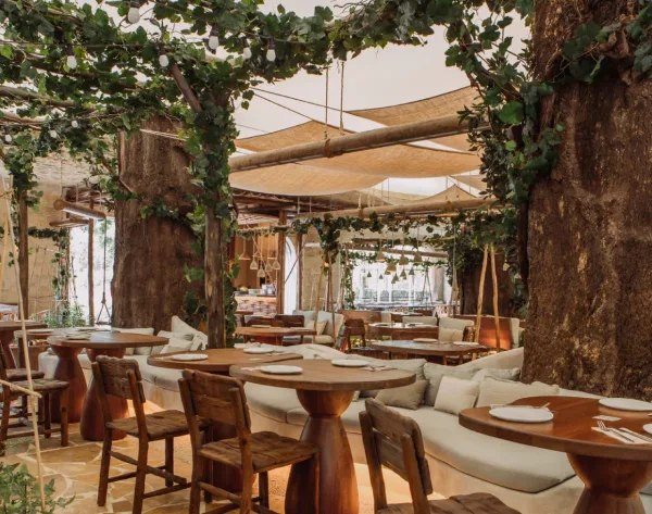 Interior of Begin Harvest restaurant