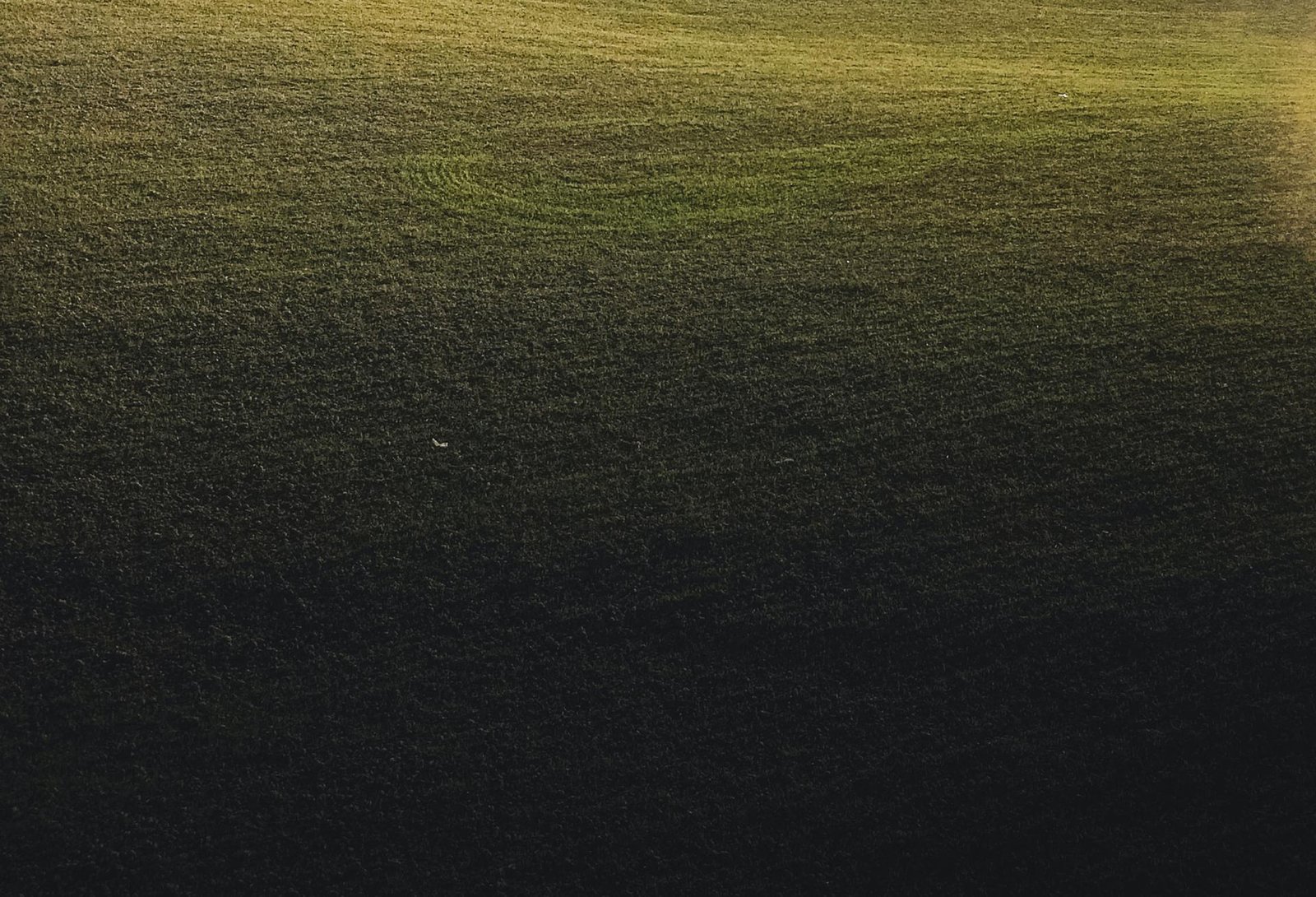 Section background